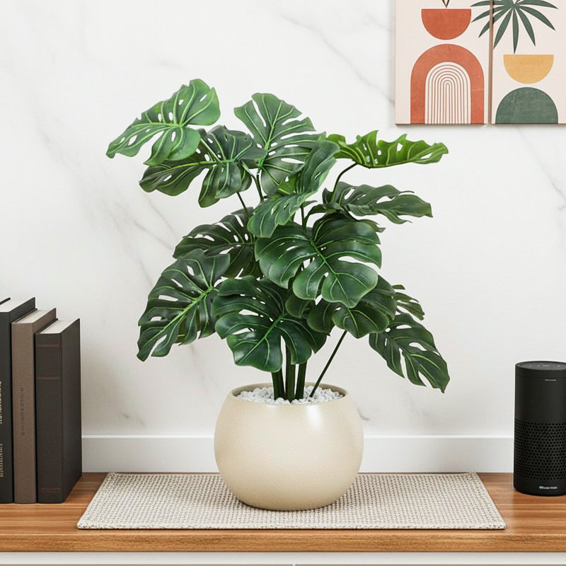Monala Artificial Monstera With Black Plastic Pot - 2.3 Feet