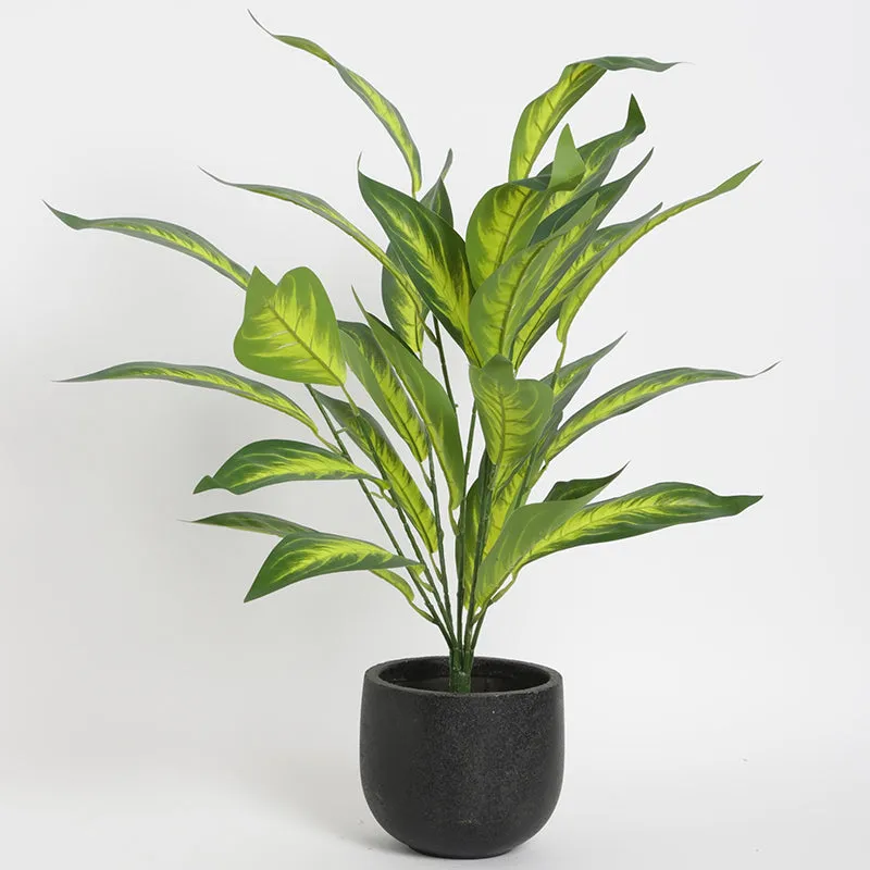Faux Memoria Corsi Plant - 2.2 Feet media 3