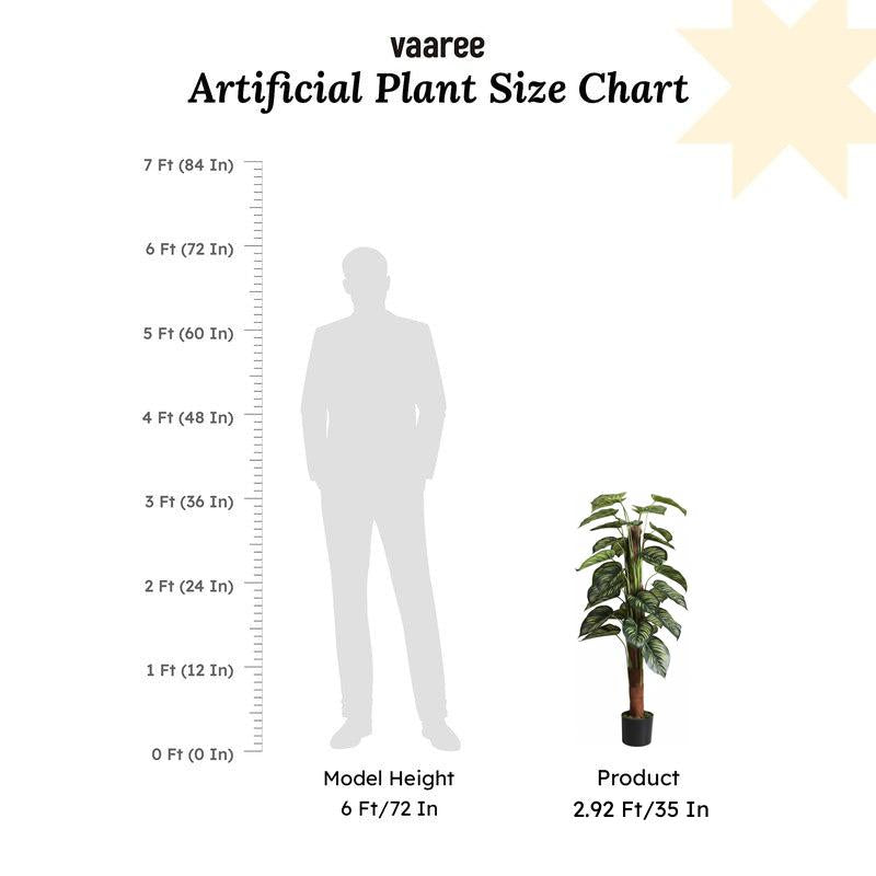 Faux Pola Calatheas Plant With Black Plastic Pot - 2.95 ft media 6