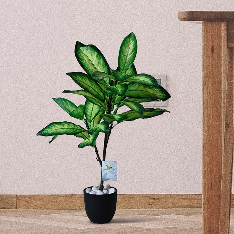 Faux Everlasting Dieffenbachia Seguine Plant With Black Plastic Pot - 74 cm (2.4 ft) media 3