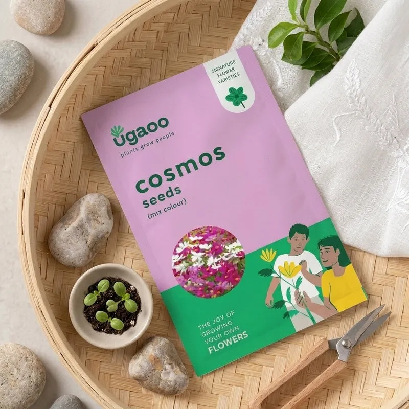 Ugaoo Cosmos Mix Seeds media 1