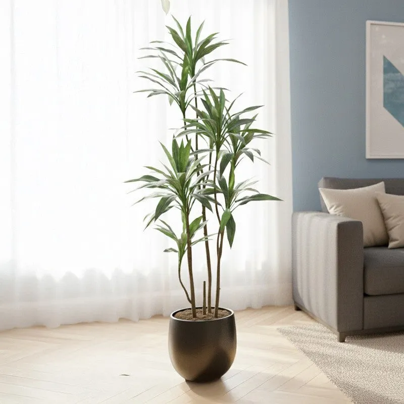 Lifestra Artificial Dracaena Green Tree With Black Plastic Pot 5.6 ft media 4