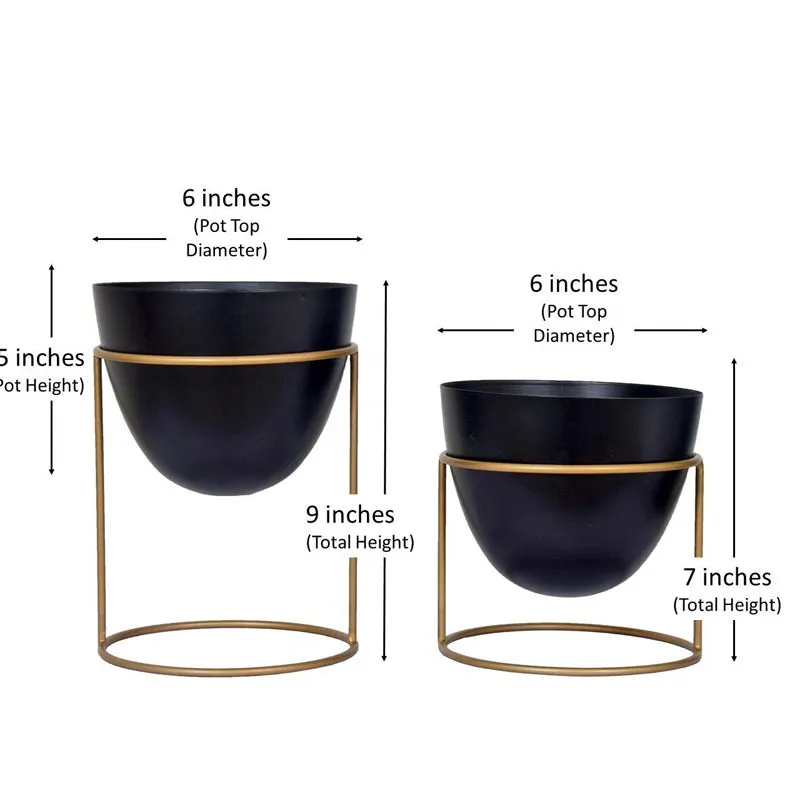 Trudene Metal Pot With Stand (Black & Gold) - Set Of Two media 7