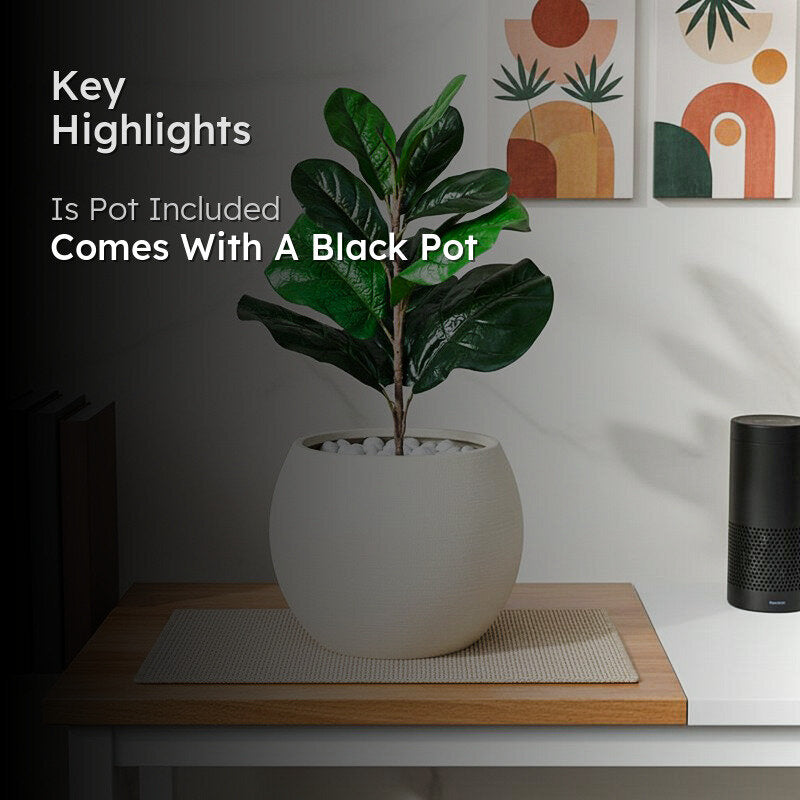 Faux Everlasting Fiddle Leaf Fig Plant With Black Plastic Pot - 58 cm media 2