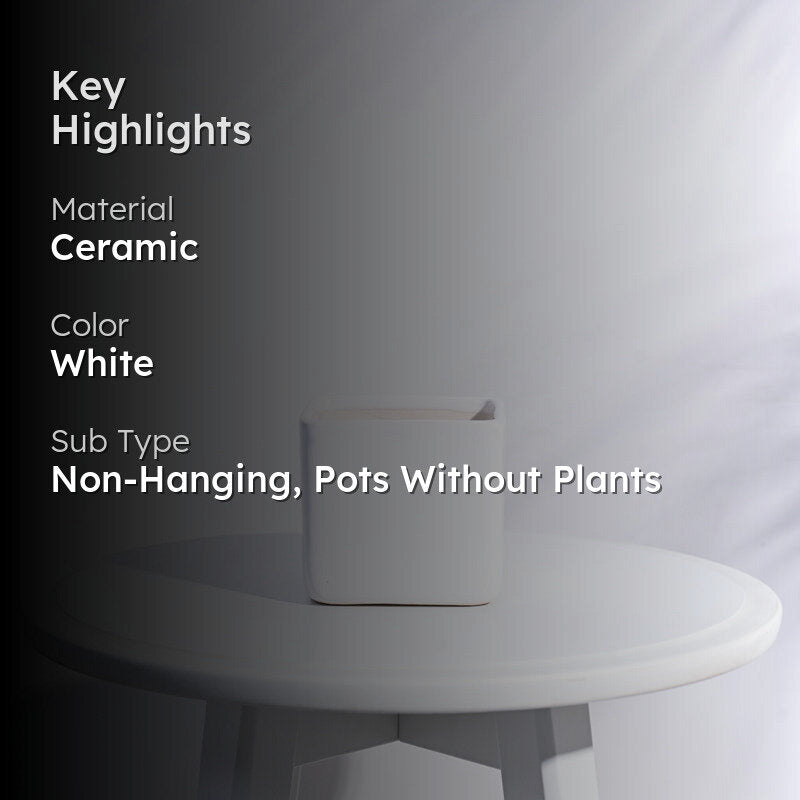 Ugaoo Square White Ceramic Pot media 2