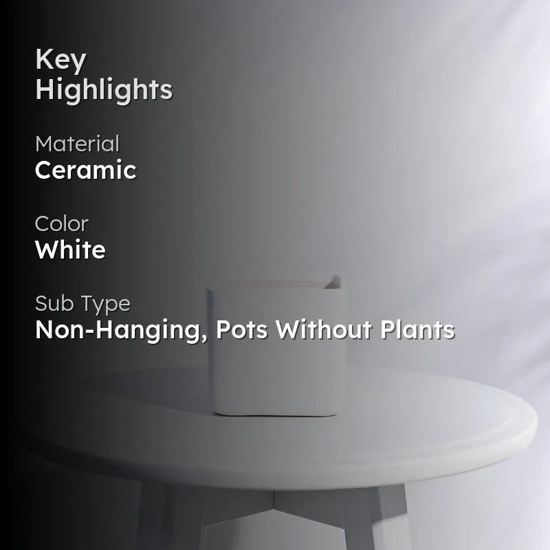 Ugaoo Square White Ceramic Pot media 2