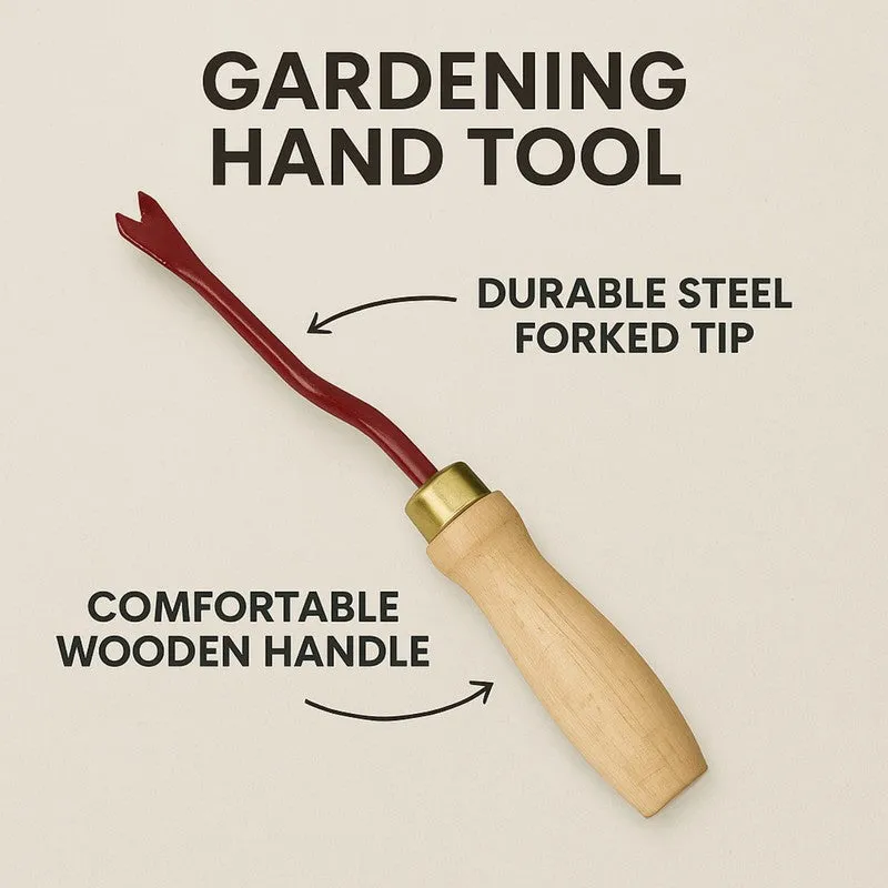 Hand Weeder Iron Tool media 3
