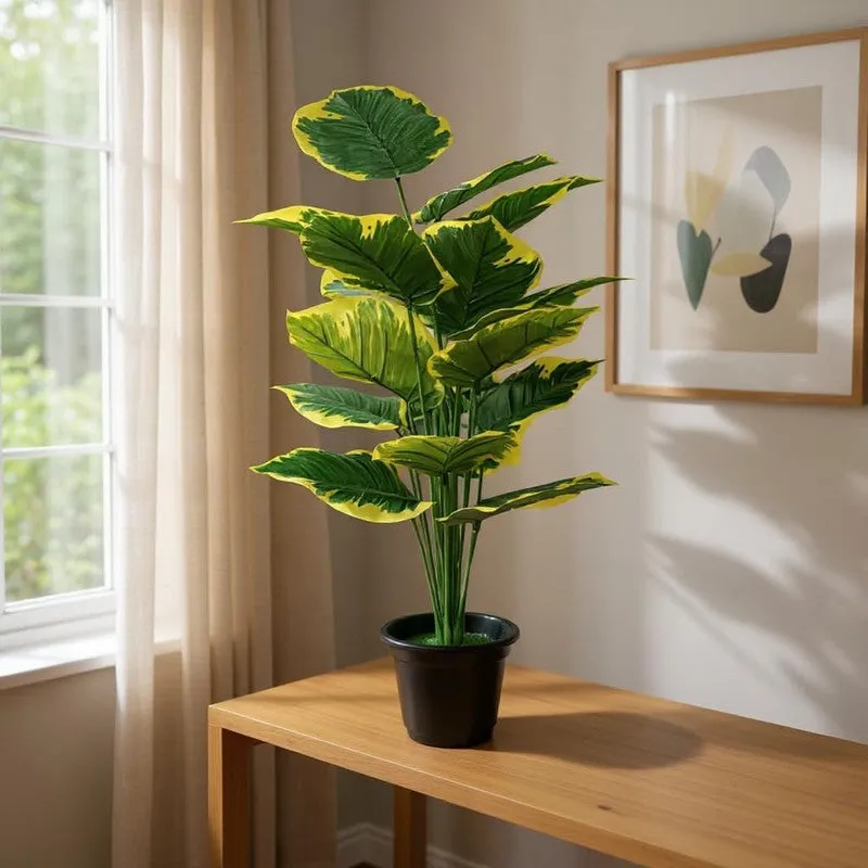 Palmae Artificial Philodendron Caladium Plant With Black Plastic Pot - 2.5 Feet media 3