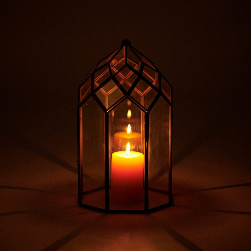 Orange Tree June Lantern media 4
