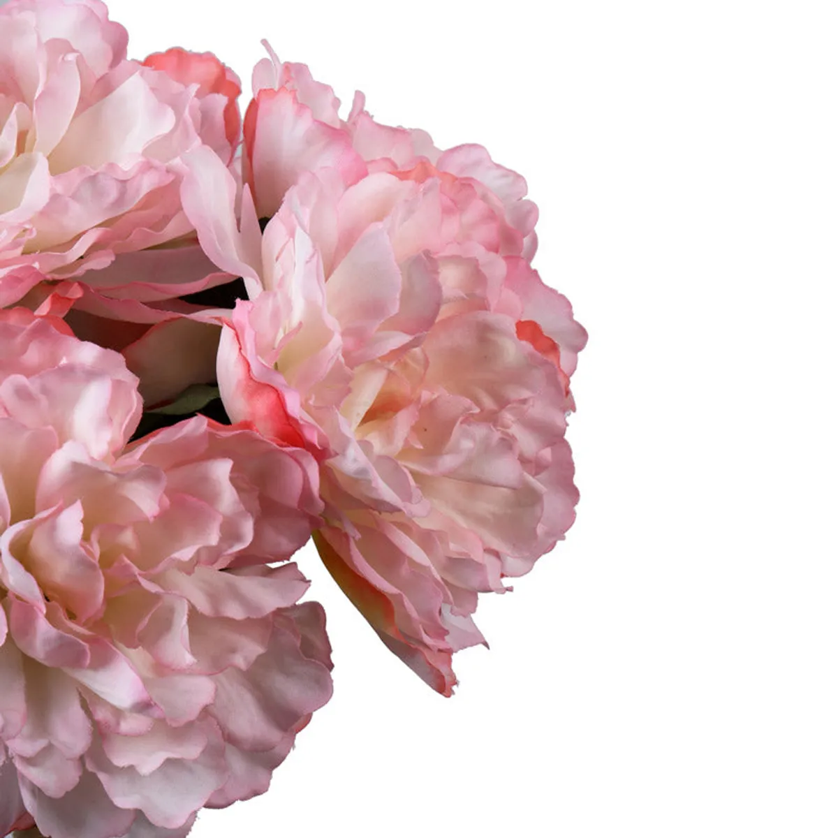 Close-up of soft pink peony petals with layered ruffled detail