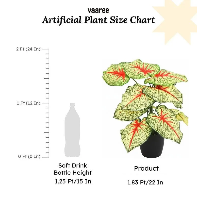 Calena Artificial Caladium With Black Plastic Pot - Yellow & Red media 6