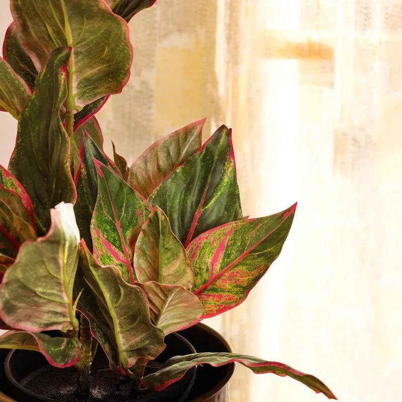Artificial Realistic Dieffenbachia With Black Plastic Pot - Green media 6
