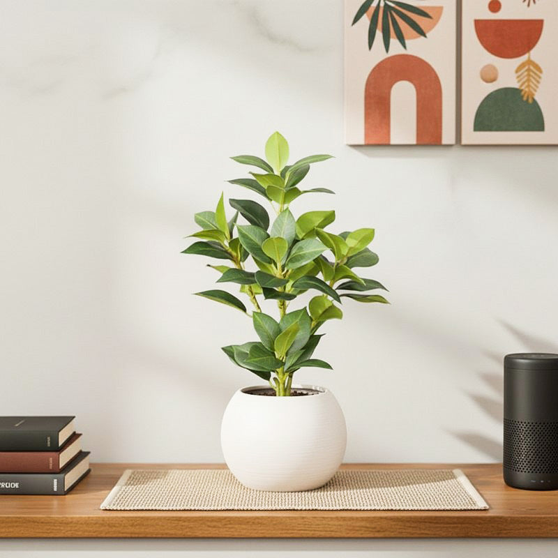 Artificial Green Leaf Plant With Black Fiber Pot - 1.3 Feet