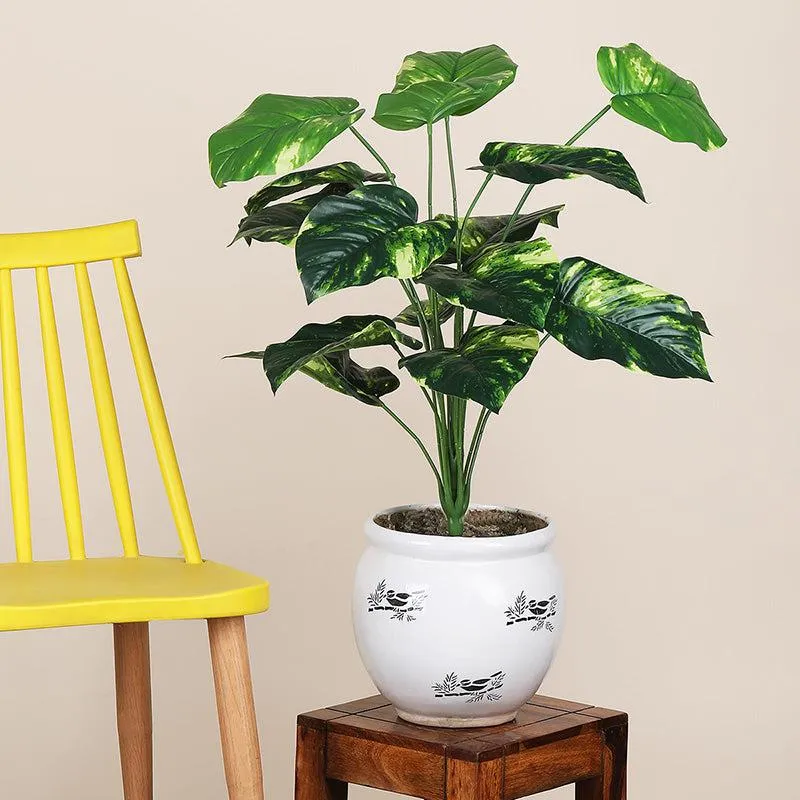 Faux Botanic Money Plant - 2 Feet media 1