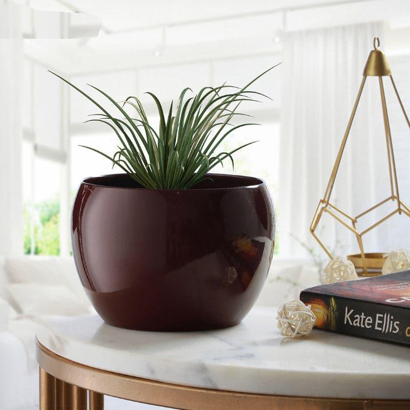 Marsha Miro Planter (Blue & Brown) - Set Of Two media 5
