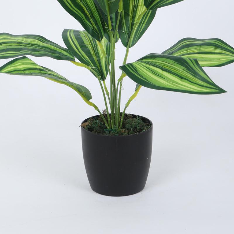 Faux Leopard Lily Plant With Black Plastic Pot (50 cms) - Set Of Two media 4