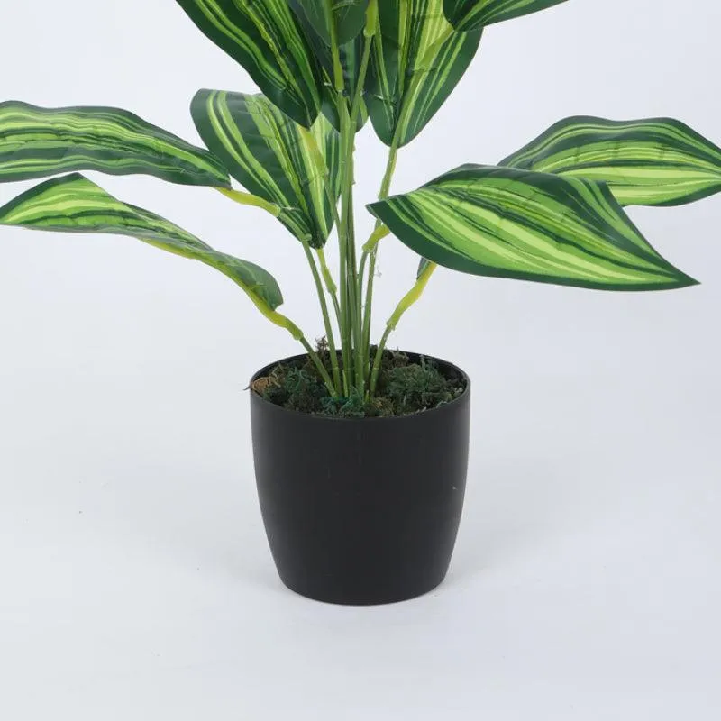 Faux Leopard Lily Plant With Black Plastic Pot (50 cms) - Set Of Two media 4