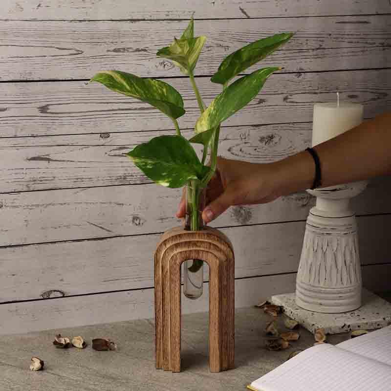 Inverted U Testube Planter - Brown media 3