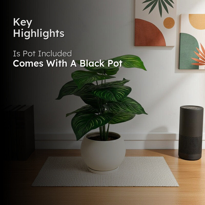 Boty Artificial Calathea Plant With Black Plastic Pot - 1.5 Feet media 2