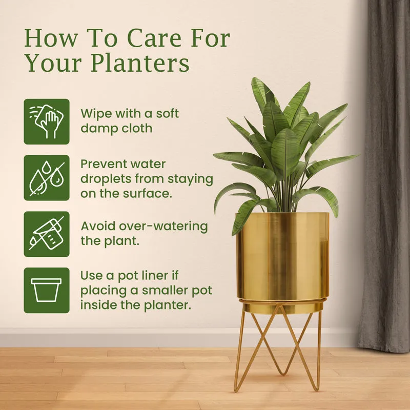 Root Rise Elle Gold Planter With Stand media 10