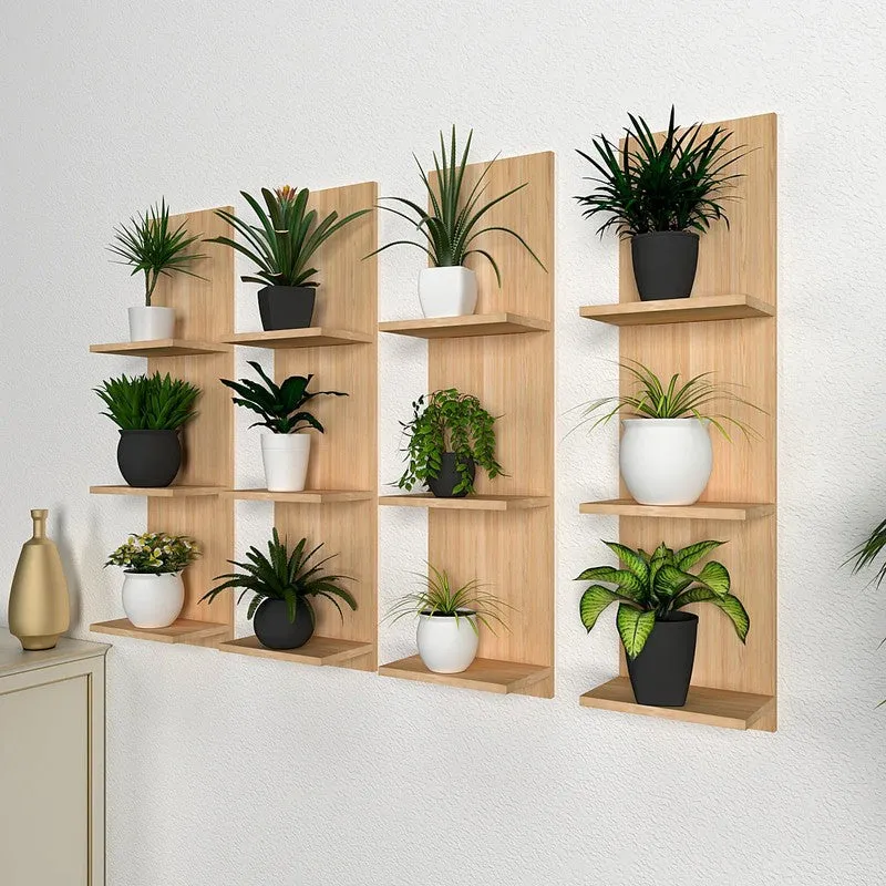Shelvora (MDF,Wood) Shelves - Set Of Four media 3