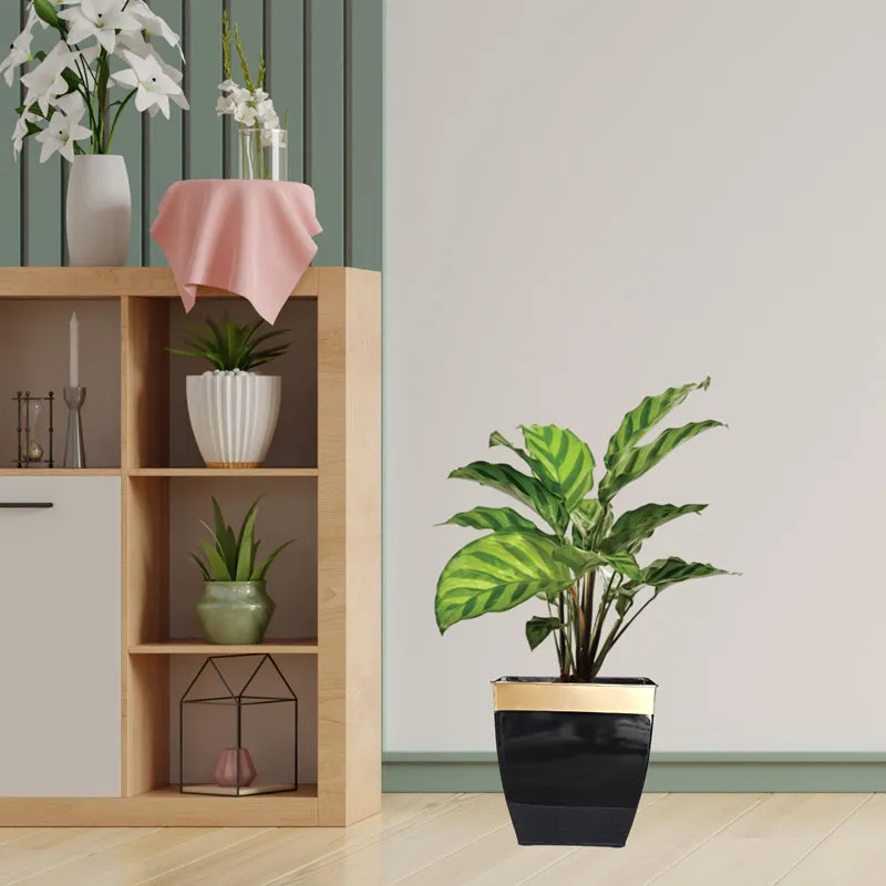 Yula Goldo Planter (Black) - Set Of Two media 4