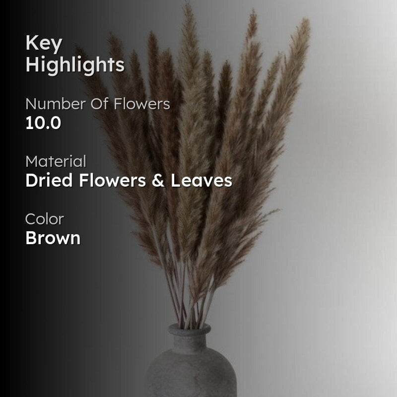 Mini Naturally Dried Pampas (Brown) - Set Of Ten media 2