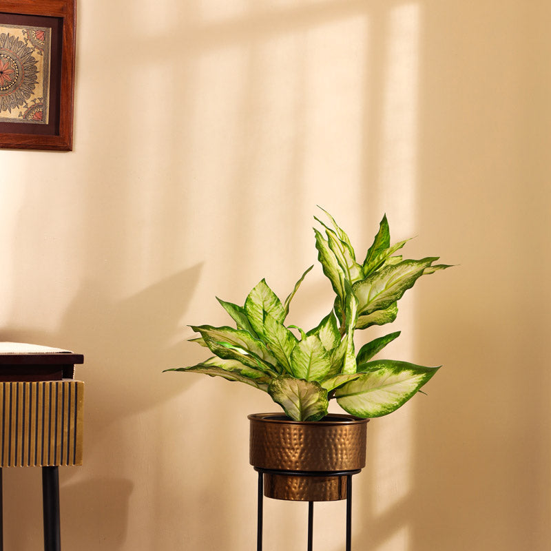 Artificial Realistic Variegated Dieffenbachia With Black Plastic Pot - Green