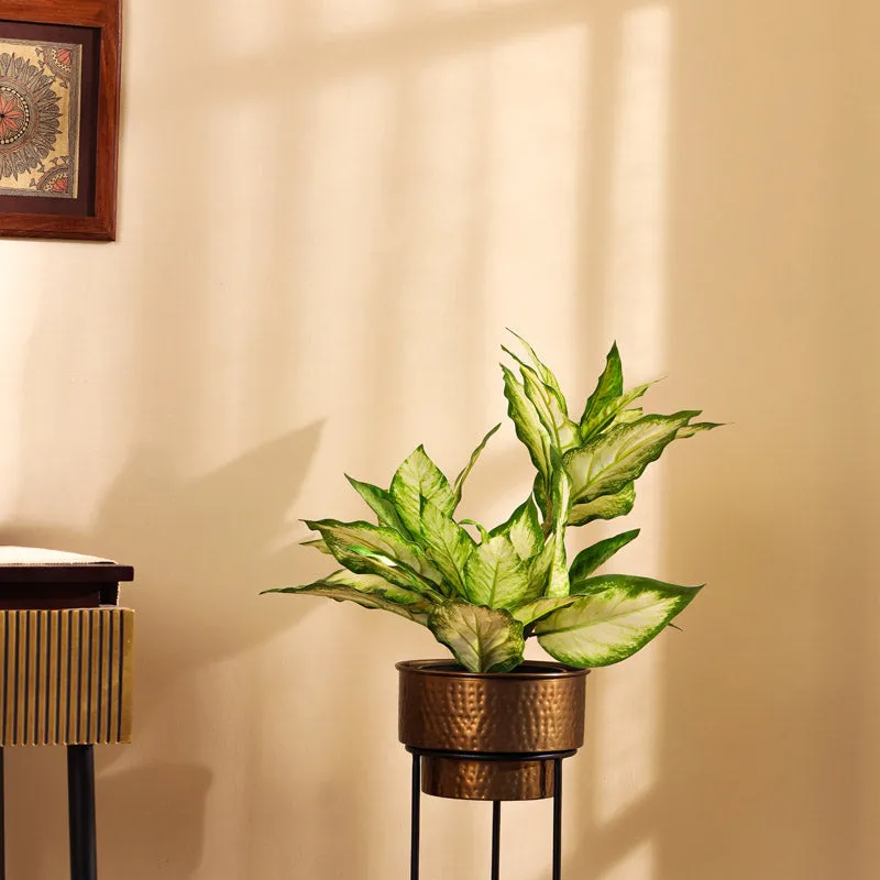 Artificial Realistic Variegated Dieffenbachia With Black Plastic Pot - Green media 1