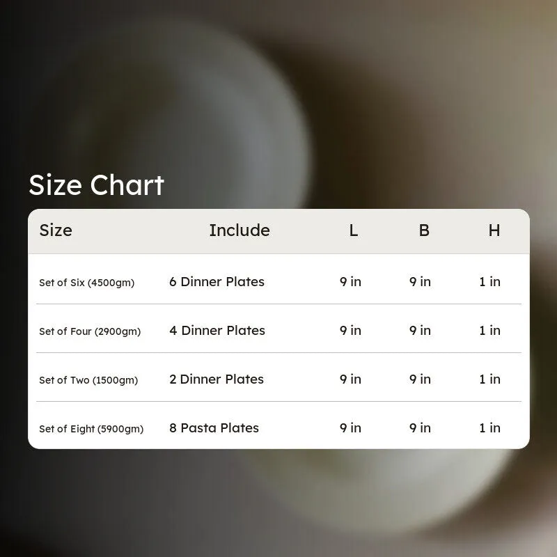 Raisel Pasta Plate (White) - Set of Two media 9