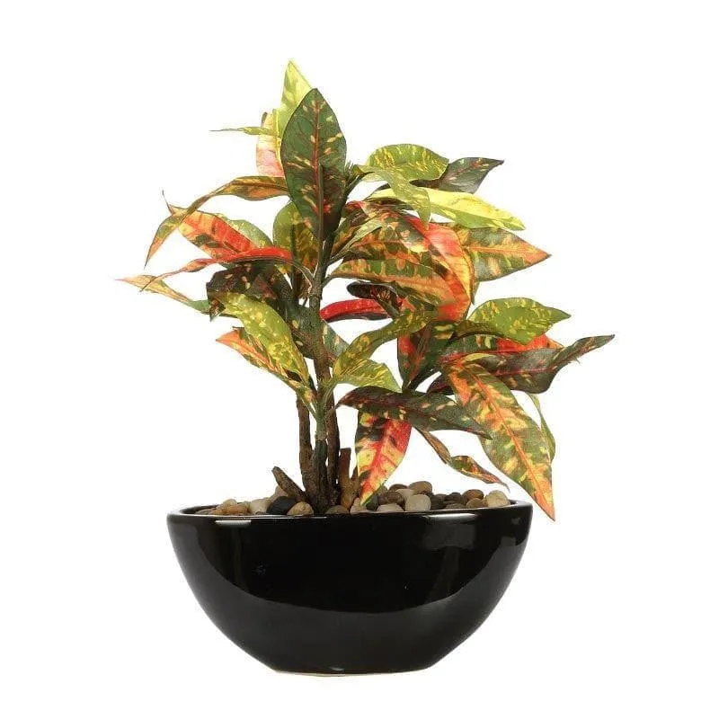 Faux Codiaeum Bonsai In Bowl Pot (29 cms) - Yellow & Green media 5