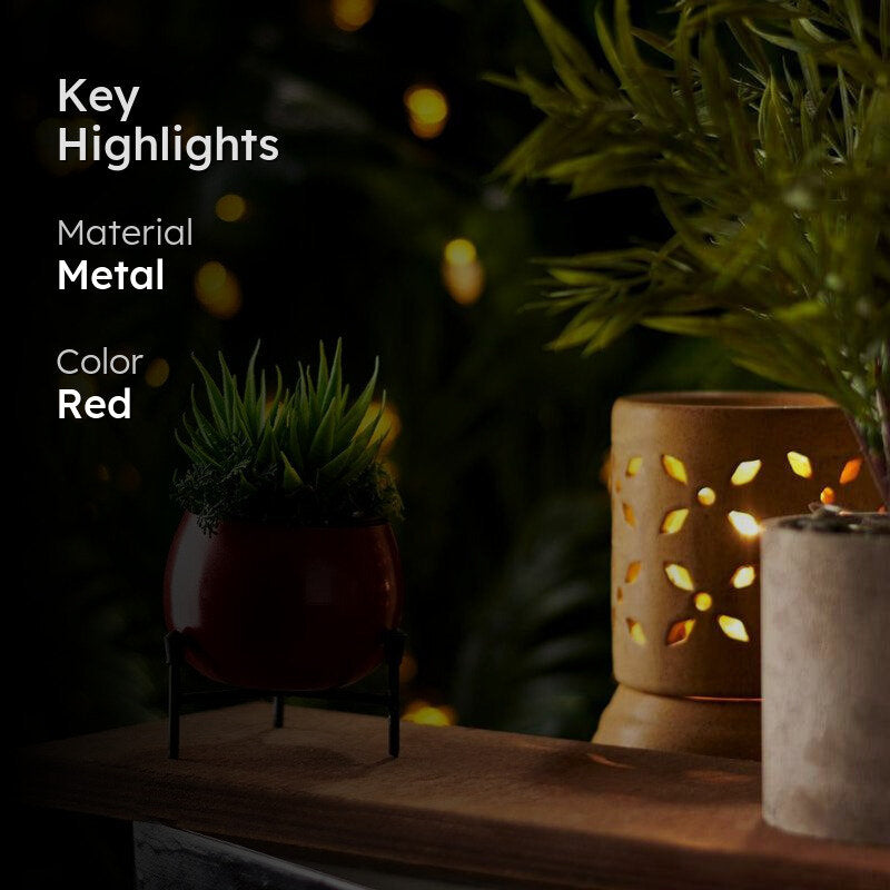Eukene Metal Planter - Red media 2