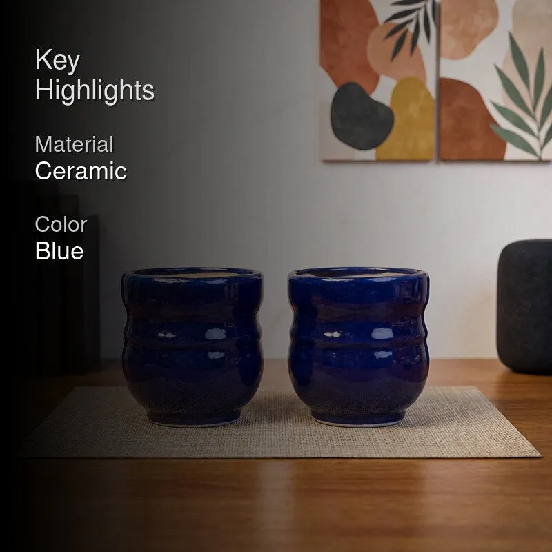 VelourVista Pots Blue - Set Of Two - 2