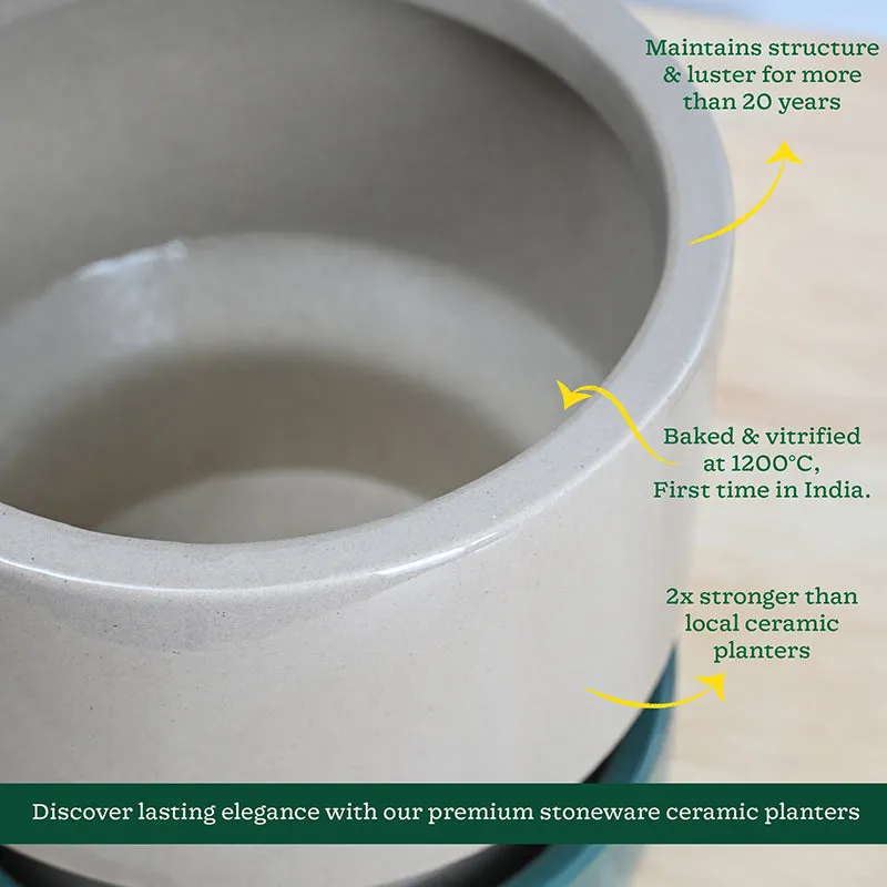 Ugaoo Pot-fection Ceramic Planter - Dark Green media 6