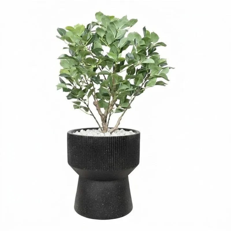 Black ribbed pedestal planter displayed with a leafy plant against a white background.