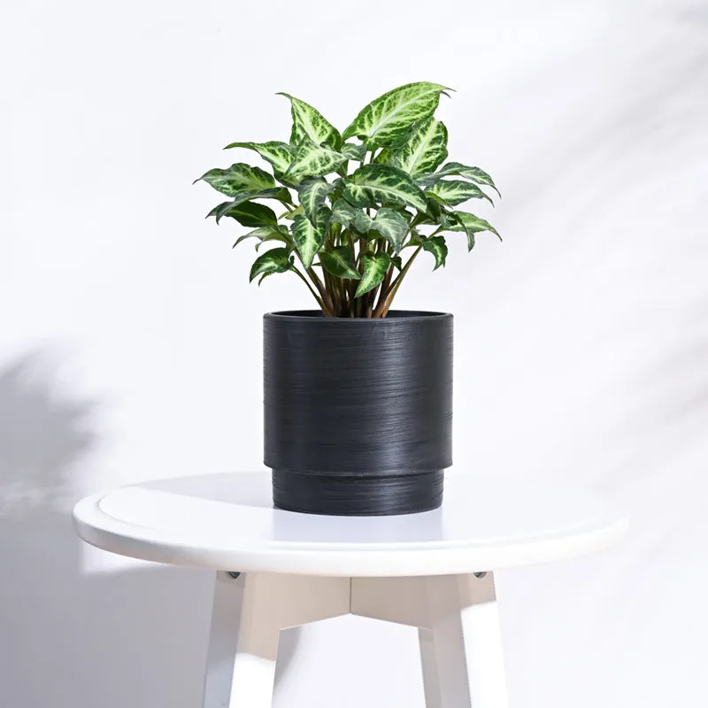 UGAOO Oslo Planter for Home & Balcony Garden- Black media 3