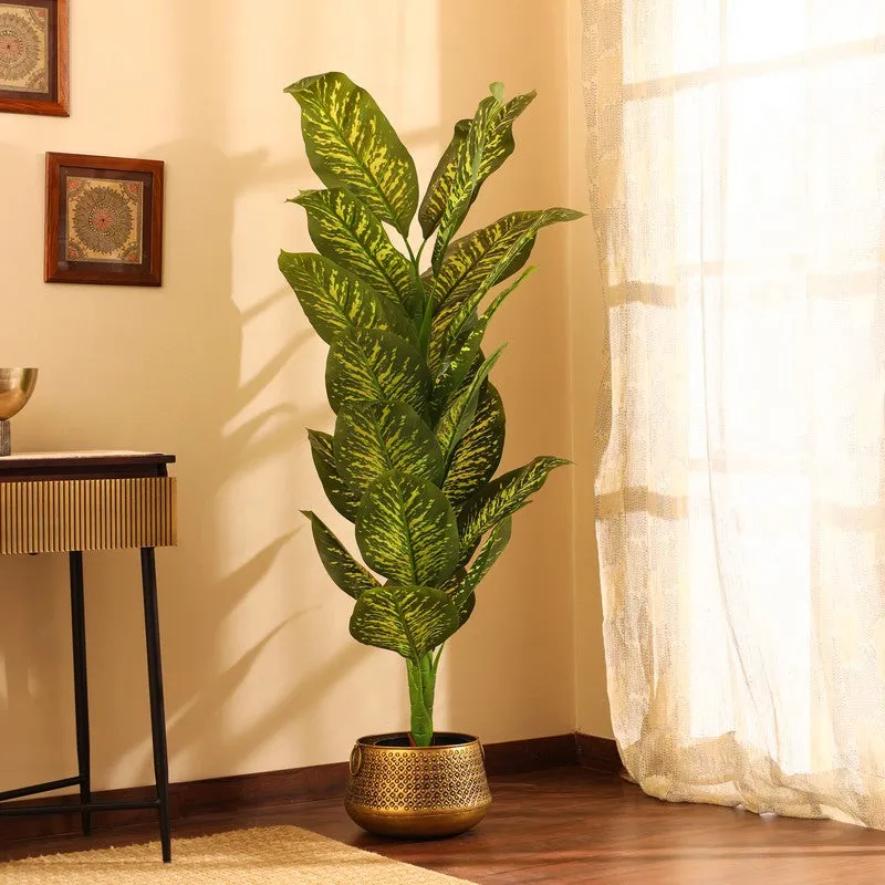 Artificial Dieffenbachia Plant With Black Plastic Pot 5.5 ft media 5