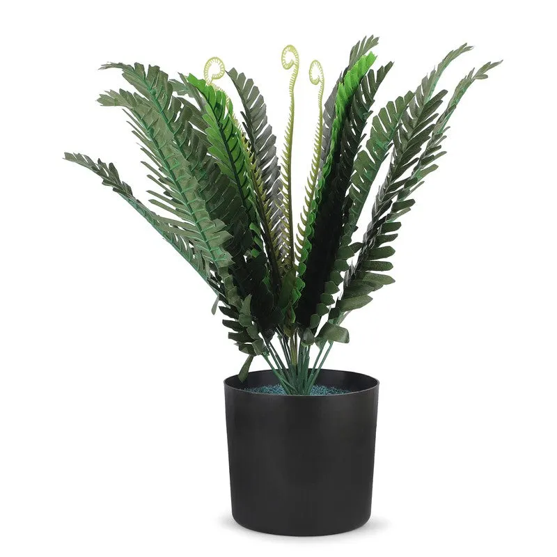 Leaflix Fern Artificial Plant With Plastic Pot - 1.3 Feet media 3