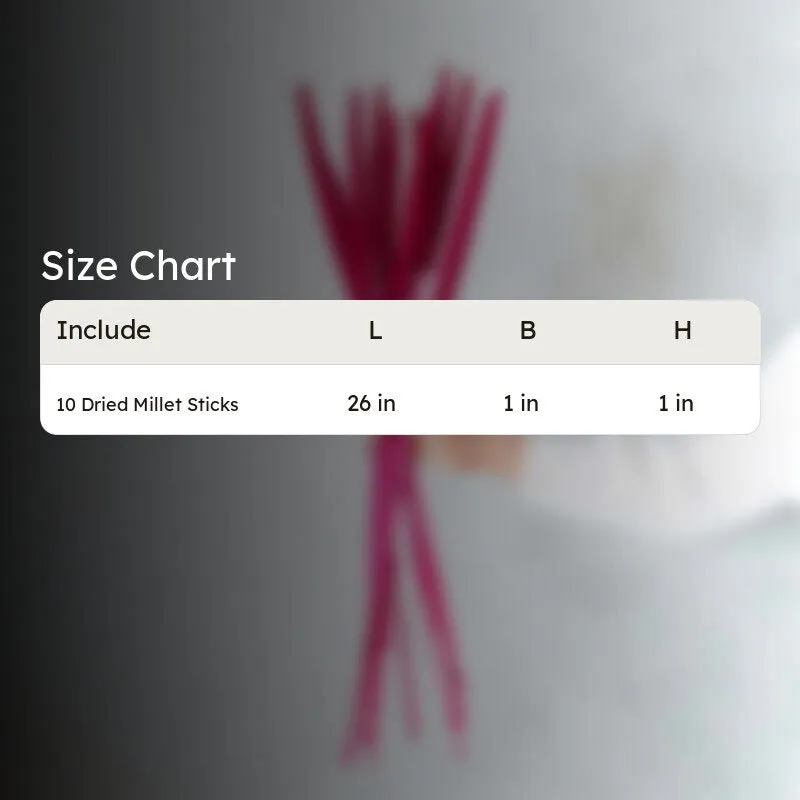 Sival Dried Millet Stick (Red & Pink) - Set Of Ten media 7
