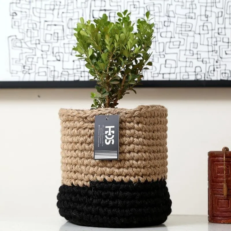 Serene Sanctuaries Jute Planter media 3