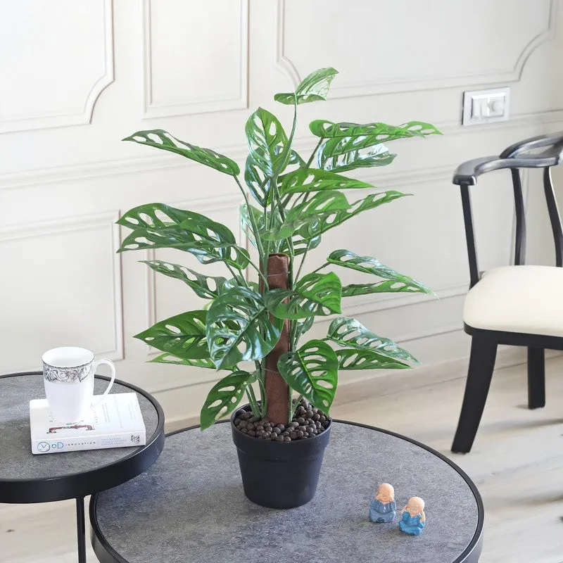 CalmRoot Artificial Plant With Black Plastic Pot - 2.0 ft media 3