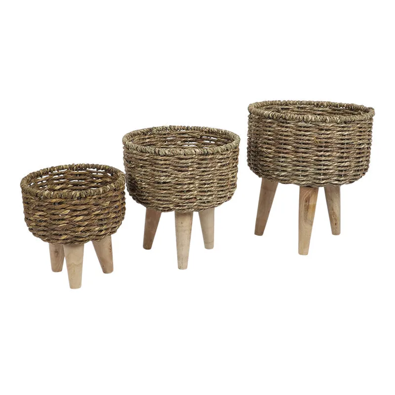 Wicker Grow Planter - Set Of Three media 4