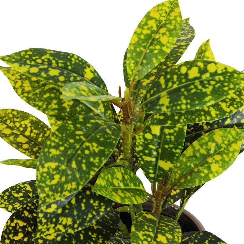 Artificial Tropical Gold Dust Croton With Black Plastic Pot (Set Of Two) - 1 Feet media 5