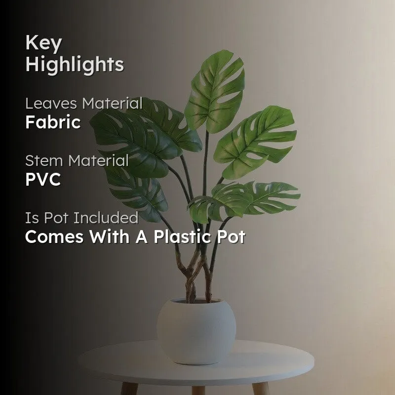 FreshForm Artificial Plant With Black Plastic Pot - 2.6 ft media 2