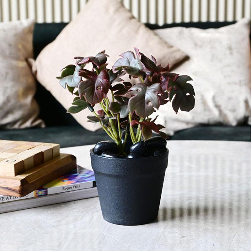 Minstera Artificial Mini Monstera Plant With Black Plastic Pot (Purple) - 16 cm media 4