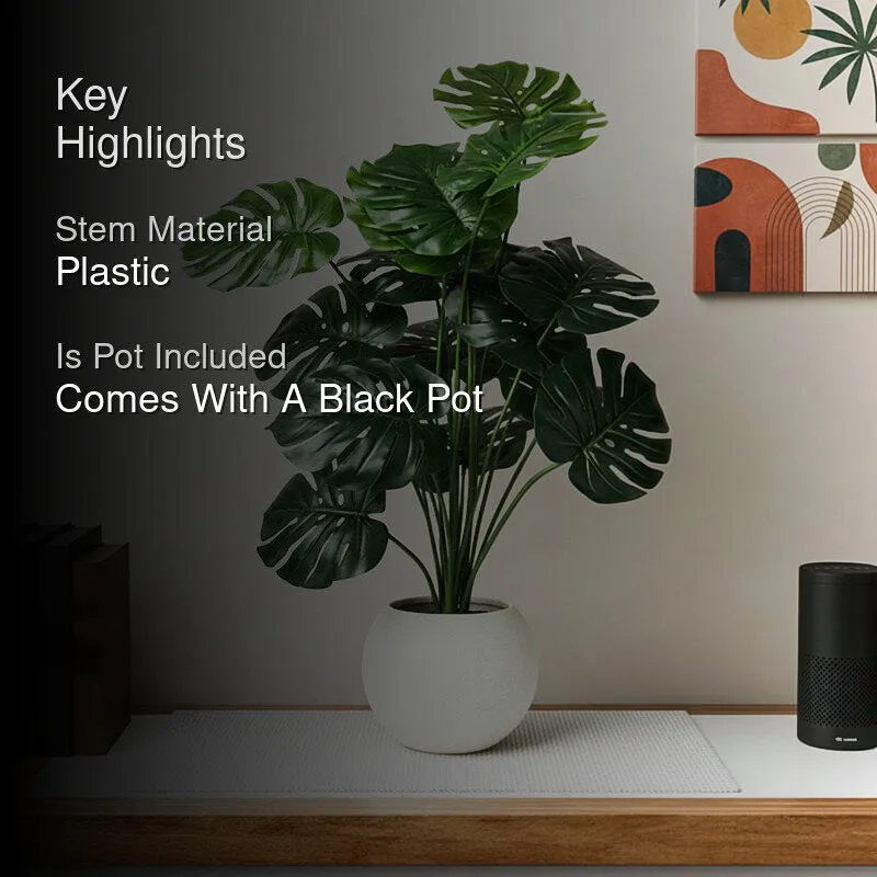 Faux Everlasting Monstera Artificial Plant With Black Plastic Pot - 74 cm (2.4 ft) media 2