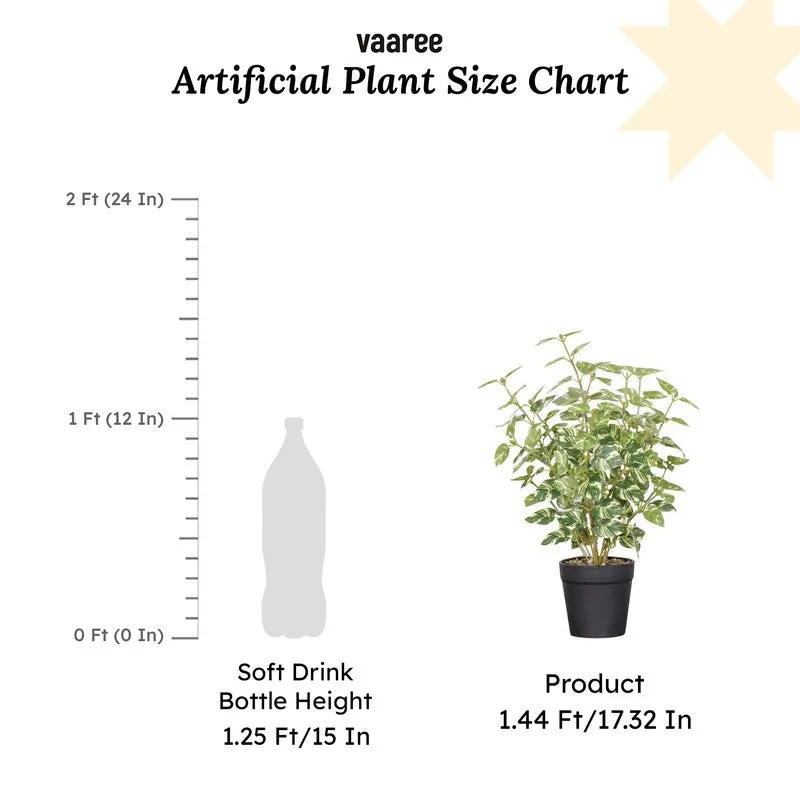 Artificial Natural Looking Pothos Big Plant With Black Fiber Pot (White) - 1.4 Feet media 7