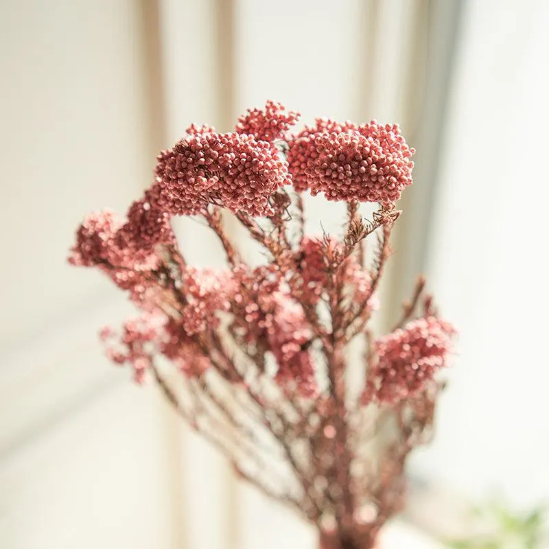 Artificial Rice Flower Stem (Pink) - Set Of Three media 4