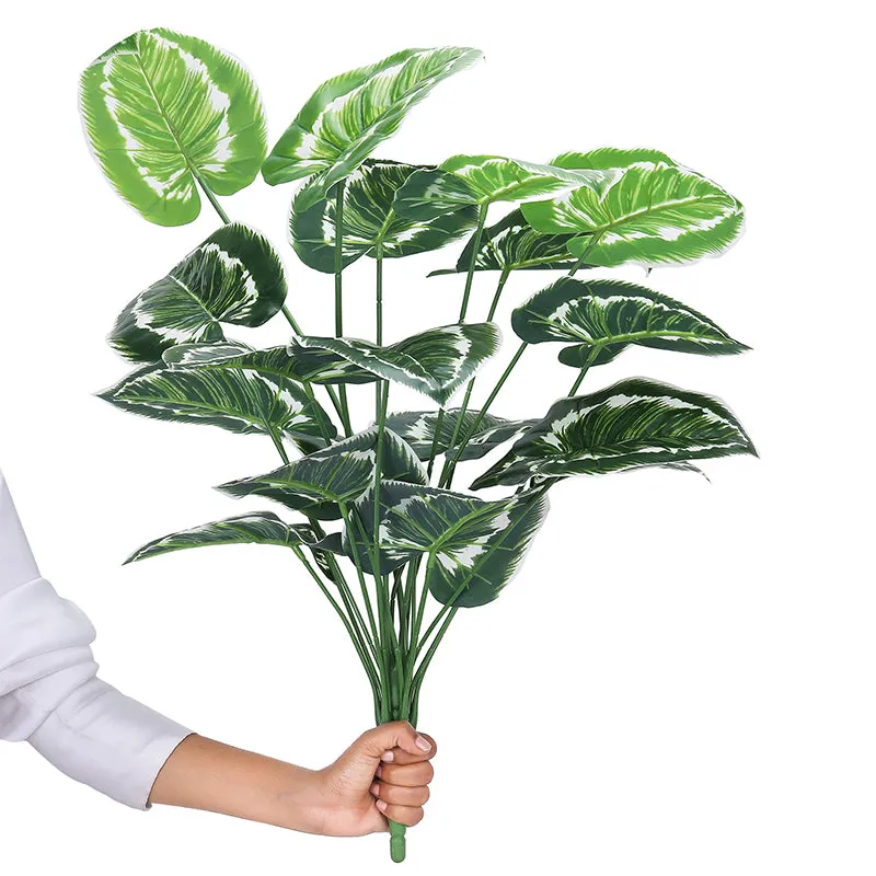 Botanika Artificial Money Plant III With Black Plastic Pot (White, Green) - 2 Feet media 4