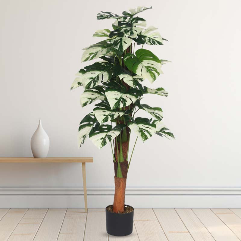 Faux Lush White Monstera Plant With Black Plastic Pot -  4 Feet media 3